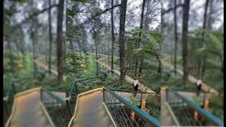 Download lagu Peri Cintaku English Cover by WAnyta (Ziva Magnolya version)