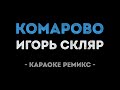 Игорь Скляр Комарово Караоке Ремикс