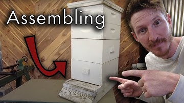 Beehive Assembly 101: Building a Langstroth Beehive Step-by-Step