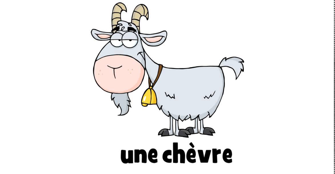 Learn French with a drawing une chèvre YouTube