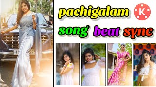 Pachigalam paravaigal song Beat Sync in  kinemaster || pachigalam song shake effects @Suresh Boga screenshot 4