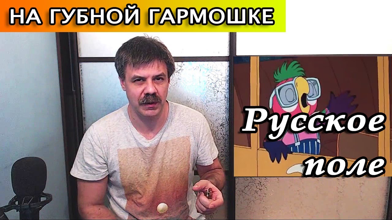 Русское поле на губной гармошке