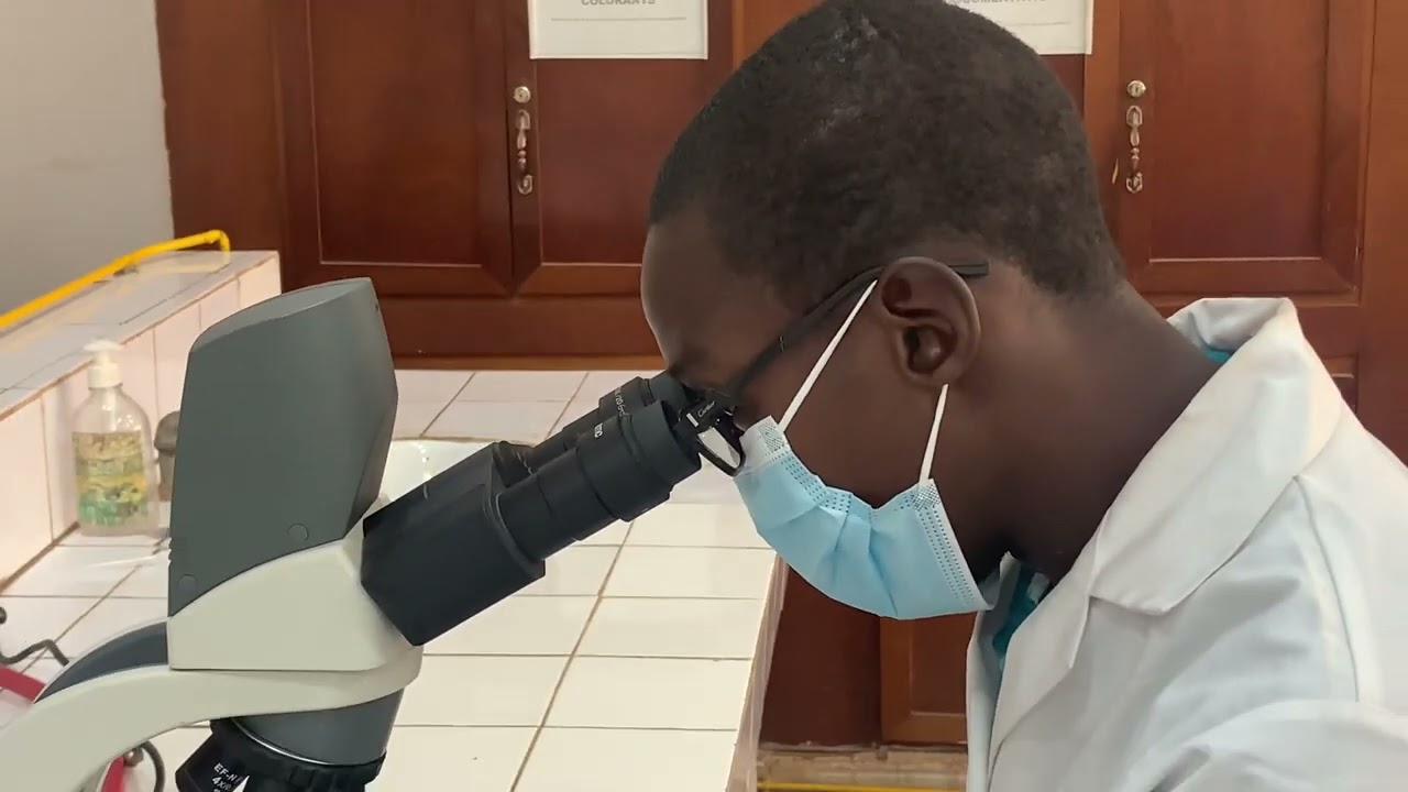 Examen Cyto bactériologique des urines