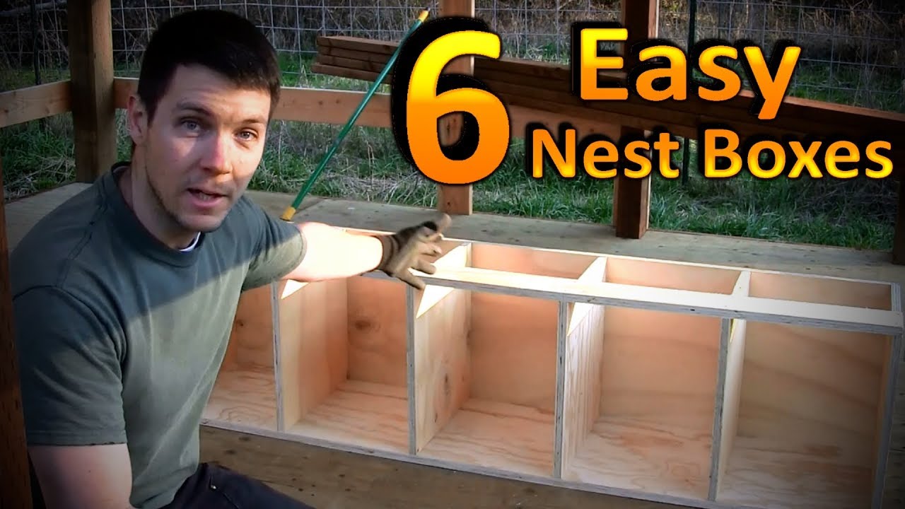 Large Roll Out Chicken Nest Box 