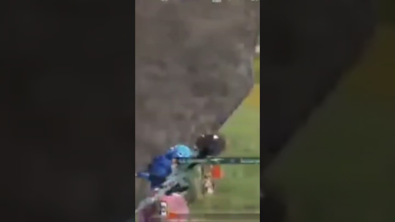 jonathan | jonathan De jiggle