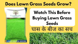 Lawn Grass Seeds Review | Should i Buy screenshot 5