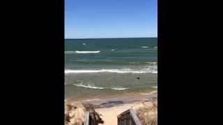 IMG 7088 #LovetheMitten