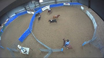 Big Sky Ranch Sorting Saddle Series #6 - Open - Round #3 - Ride #6