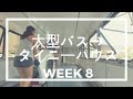 大型バスからタイニーハウスへ　WEEK8【床が入りました！！！】