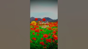 قران ياسر الدوسري/سورة الرعد آية ٢٢