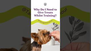 How to Use Treats in Dog Training   Avoid Bribery & Treat Dependency