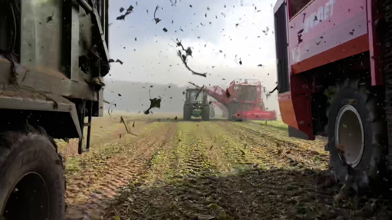 Demonstration J Riley Beet Harvesters in Norfolk YouTube