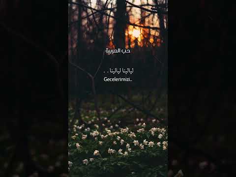 جوليا بطرس يا قصص التركية
