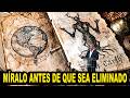 Mel Gibson “La línea de tiempo del fin de los tiempos no coincide con lo que nos dijeron”