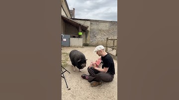 When he starts singing 🥹