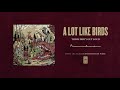 A Lot Like Birds "Think Dirty Out Loud"