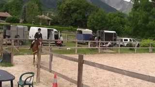 CEP 2 Dressage
