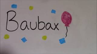 Baubax- Crowdfunding Campaign Case Study