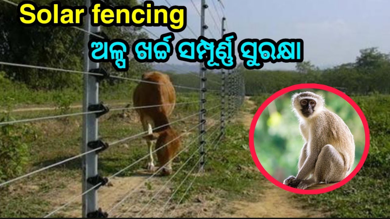 Solar Fencing ଅଳ୍ପ ଖର୍ଚ୍ଚରେ ମିଳିଥାଏ ସମ୍ପୂର୍ଣ ସୁରକ୍ଷା