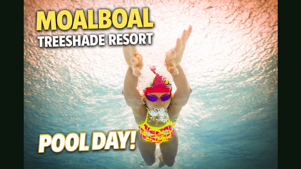 필리핀 모알보알 여행 2부 - 모알보알 트리쉐이드 리조트에서 수영하고 먹고 놀기