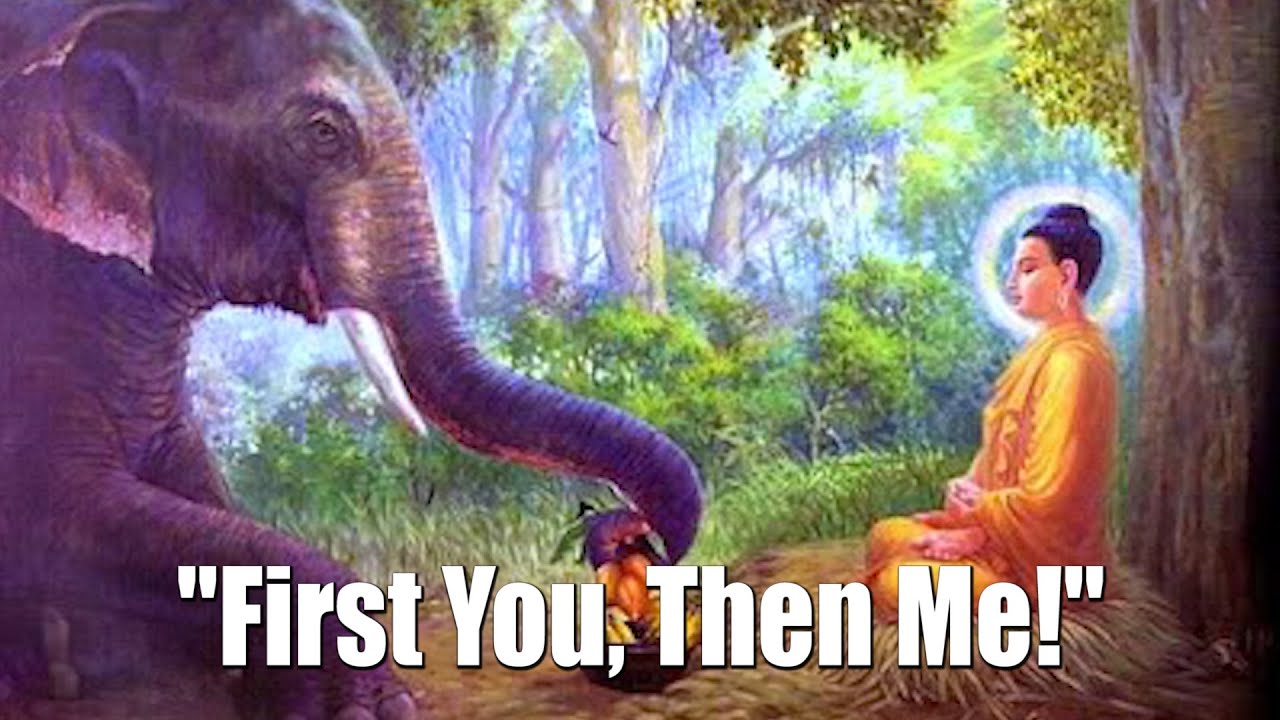 The Meaning of the Elephant in Buddhism - wide 2