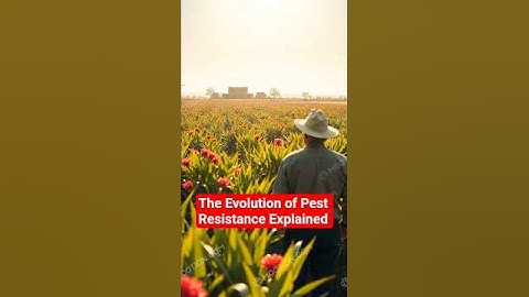 The Evolution of Pest Resistance Explained#shorts