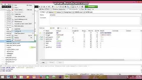 Video tutorial Membuat Laporan Penjualan menggunakan aplikasi delphi