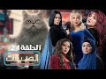 مسلسل الصديقات القطط الحلقة الرابعة والعشرون Friends Episode 24 