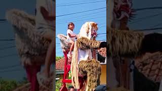 BUROK PBM PUTRA BUDAYA MUDA