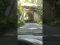Terror at the Bunny-Man Bridge