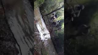Trilla Colonia Alberdi Misiones Argentina