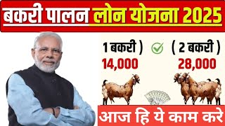 Bakri Palan Business Loan 2025 | Goat Farming Loan Rs 3 lakh to 10 Lakh