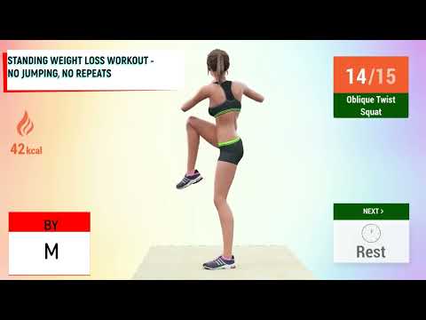 STANDING WEIGHT LOSS WORKOUT   NO JUMPING, NO REPEATS/წონის დაკლების ვარჯიში ფეხზე დგომით   ხტუნვი