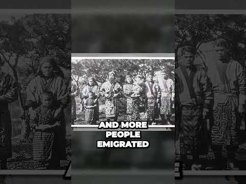 Uncovering The Hidden History Of Hokkaido S Ainu People