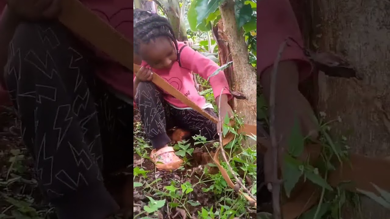 I surrender Makai 🤣🤣🤣