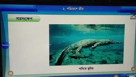 ৪র্থ শ্রেণি,বিজ্ঞান, অধ্যায়-২,উদ্ভিদ ও প্রাণি