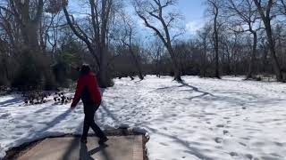 Hole 18 Hecksher Forest Disc Golf 345 Feet Par 3  Throwing the "Love Shryke"