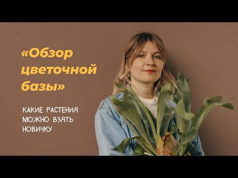 Обзор цветочной базы. Какие растения можно взять новичку