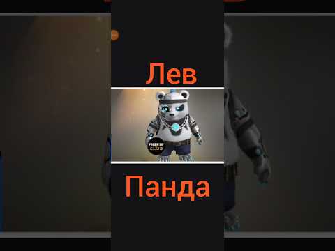 9 смешных переписок кошатников с собачниками