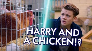 Famous Taking Care of Phillip the Chicken - Almost Never | Episode 9 Profile