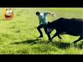 Extreme Fails Compilation 2026 | Try Not To Laugh CHALLENGE 😱
