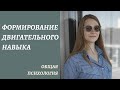 Формирование двигательного навыка. Физиология активности.