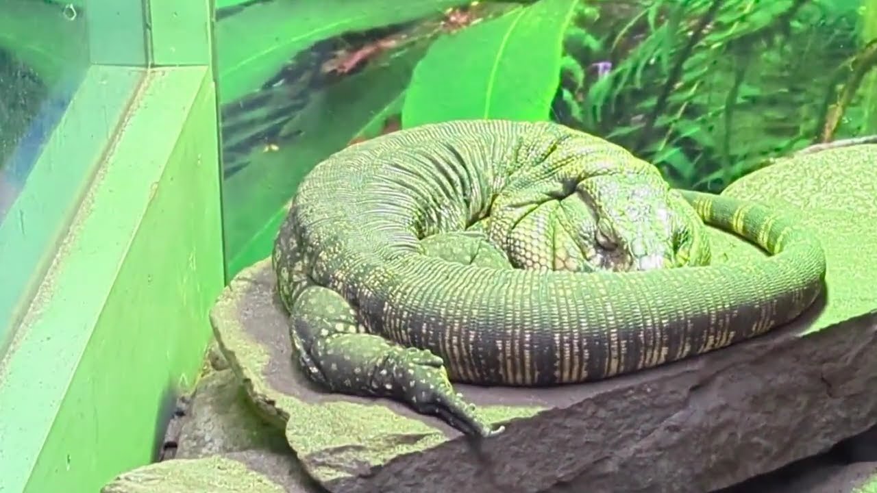 United Kingdom, Aberdeen - Hazlehead park (Autumn vibe)