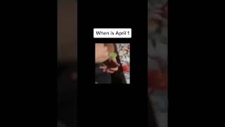 When Is April 1st 😂 #funny #memes