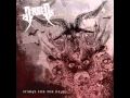 Arsis - From Soulless to Shattered (Art in Dying)