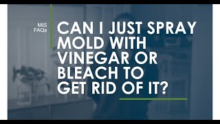 Can I just spray mold with vinegar or bleach to get rid of it?