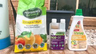 The best fertiliser for Citrus trees