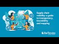 Supply chain visibility: a guide to transparency, traceability and mapping