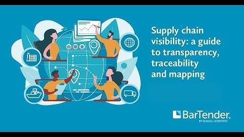 Supply chain visibility: a guide to transparency, traceability and mapping