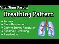 Abnormal Breathing Pattern / Altered Respirations || Vital Signs Part 3 ||